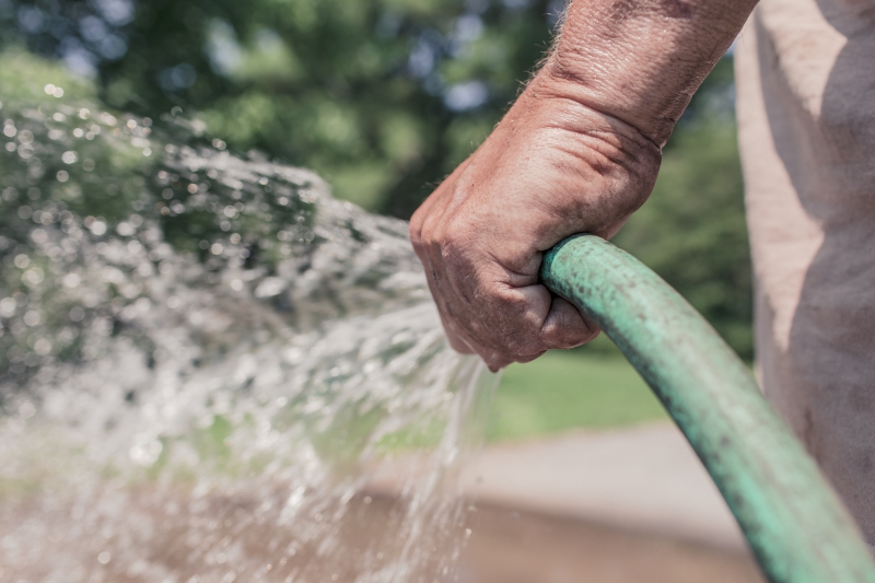 jardinerie-VILLENEUVE LOUBET-min_garden-hose-413684